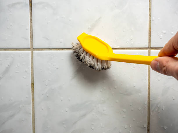 Best Mold Removal and Inspection  in Brookville, PA