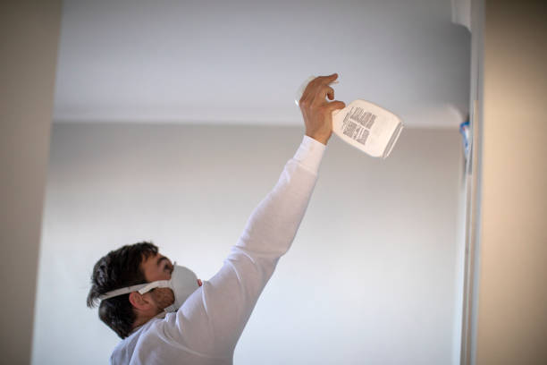 Best Mold Remediation  in Brookville, PA