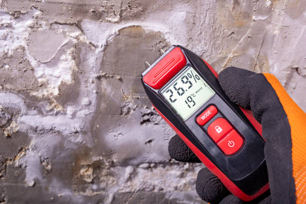 Best Certified Mold Removal  in Brookville, PA