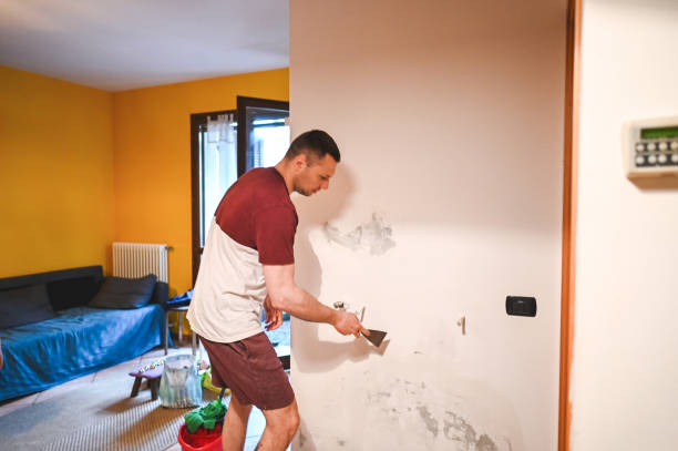 Best Fast Mold Removal  in Brookville, PA